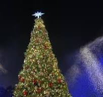 Christmas Tree Lighting Vendor Fee