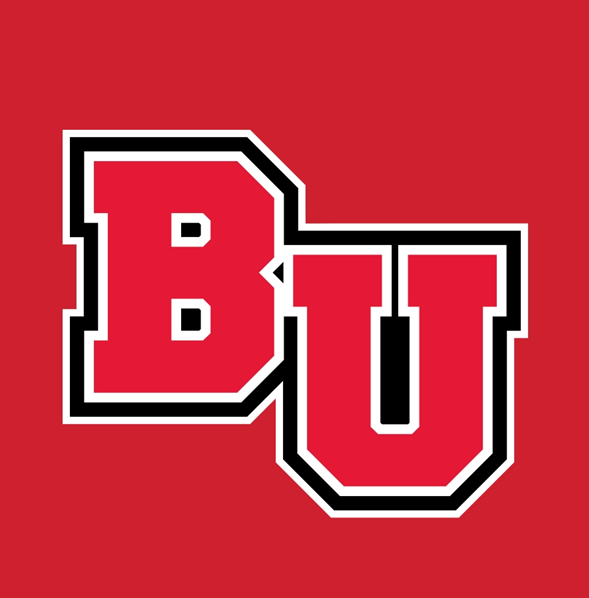 Biola Flag