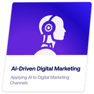 DMI TRACK – Advanced AI in Digital Marketing