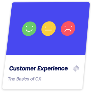 DMI TRACK – Customer Experience (CX)
