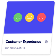 DMI TRACK – Customer Experience (CX)