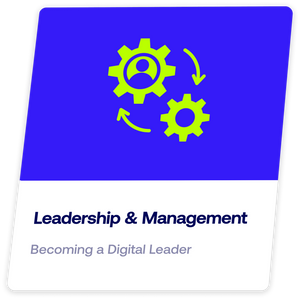 DMI TRACK – Leadership & Management
