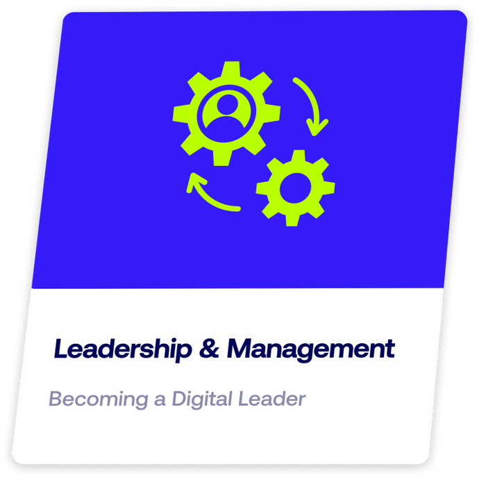 DMI TRACK – Leadership & Management